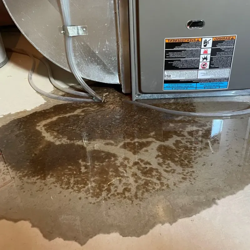 Pipe Burst and Leak Restoration in Lancaster County, NE